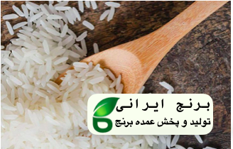 قیمت برنج شیرودی در مشهد